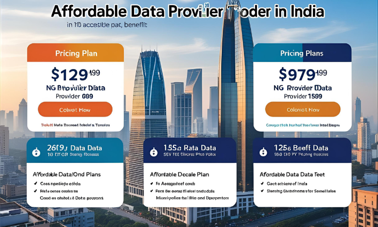 Affordable Data Provider in India – Verified Leads for Every Business at the Right Price